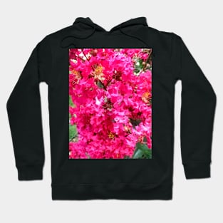 Bright Pink Flowers Hoodie